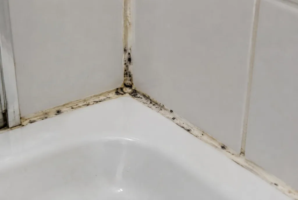 Kitbedrijf Houten – beschimmelde kitranden